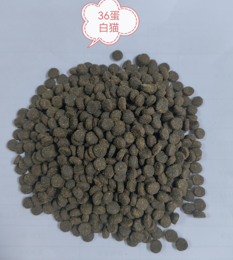 cat dry food