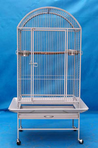 Parrot Cage